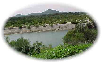 riverview2c.jpg (9367 bytes)