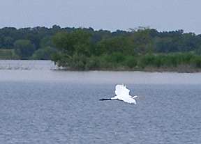 Boating on Lake LBJ