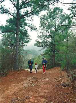 The Best Little Cabin in Texas