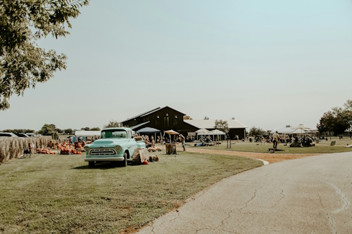 Pumpkin Patch