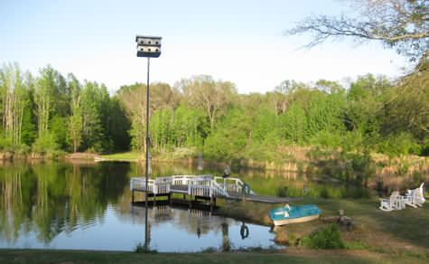 Pegasus Ranch Lodge