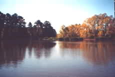 Broken Arrow Lodge & Marina