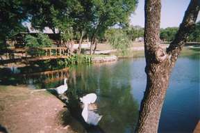 Rustic Ridge Bed and Breakfast
