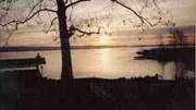Cottonwood Cove